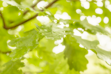 Similar image 5982602