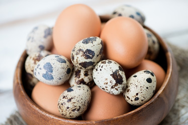 Similar image 5982624