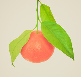 Similar image 5982669