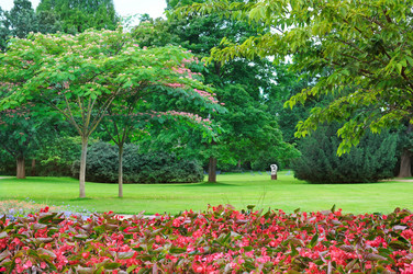 Similar image 5982686