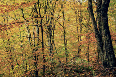 Similar image 5982834