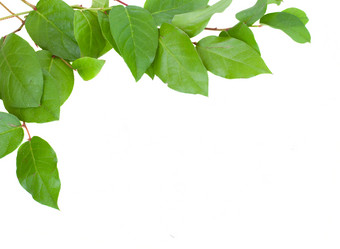 Similar image 5982842