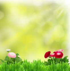 Similar image 5982861