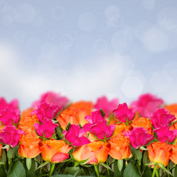 Similar image 5982864