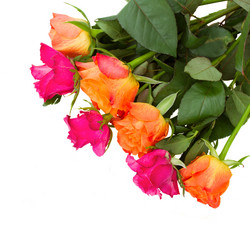 Similar image 5982871