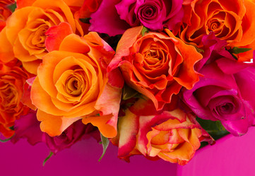 Similar image 5982872