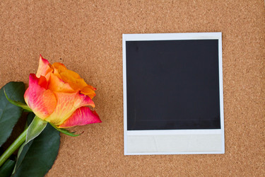 Similar image 5982874