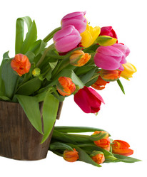 Similar image 5982887