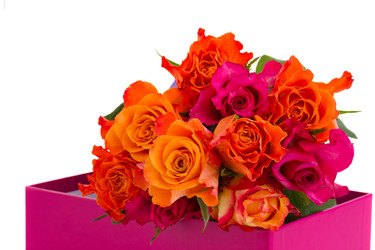 Similar image 5982907