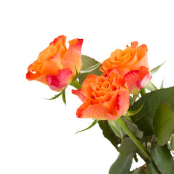 Similar image 5982928