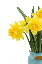 Similar image 5982929