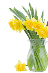 Similar image 5982930