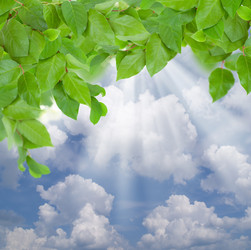 Similar image 5982948