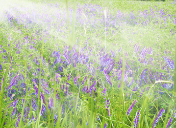 Similar image 5982953