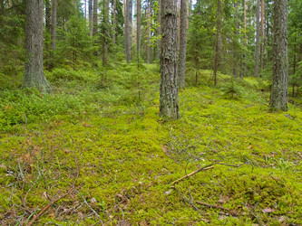 Similar image 5982974