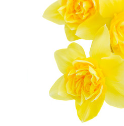 Similar image 5982987