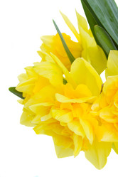 Similar image 5983015