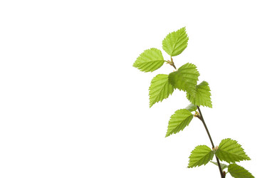 Similar image 5983028