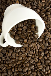 Similar image 5983048