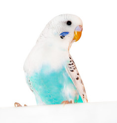 Similar image 5983059