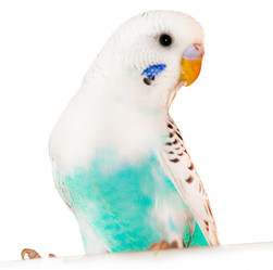 Similar image 5983077