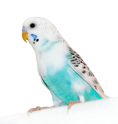 Similar image 5983085