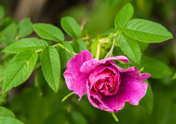 Similar image 5983112