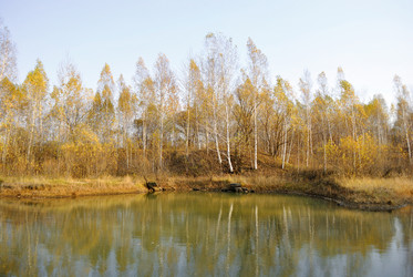 Similar image 5983121