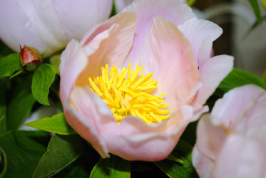 Similar image 5983153