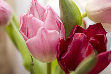 Similar image 5983702