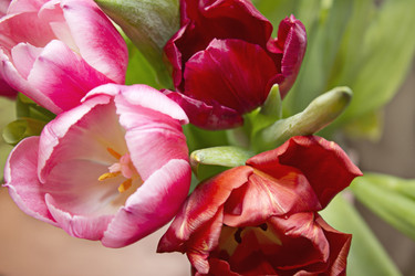 Similar image 5983703