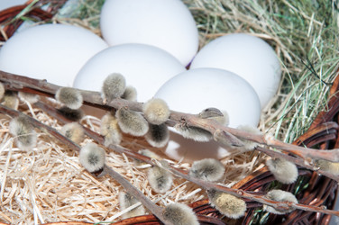 Similar image 5983816