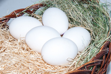 Similar image 5983817