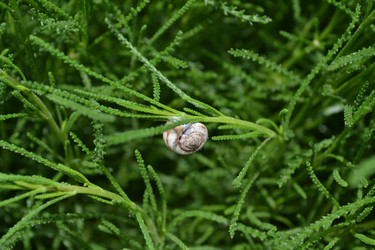 Similar image 5983832