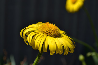 Similar image 5983834