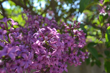 Similar image 5983835