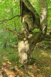 Similar image 5983978