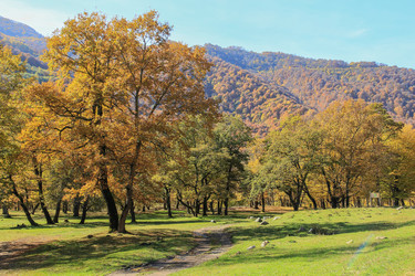 Similar image 5984018