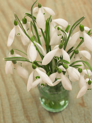 Similar image 5984019