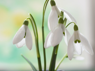 Similar image 5984023