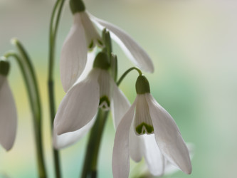 Similar image 5984060