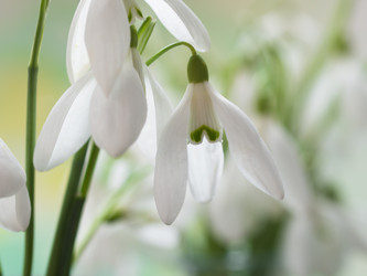 Similar image 5984061