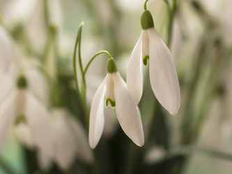 Similar image 5984068