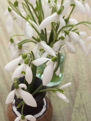 Similar image 5984076