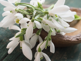 Similar image 5984077