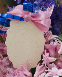 Similar image 5984083