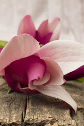 Similar image 5984092