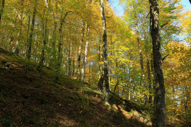 Similar image 5984127