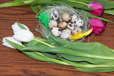 Similar image 5984202