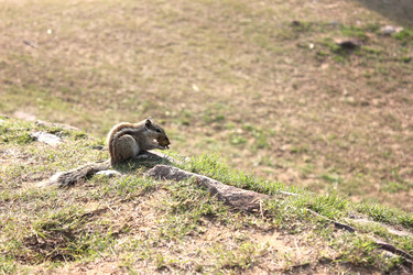 Similar image 5984212